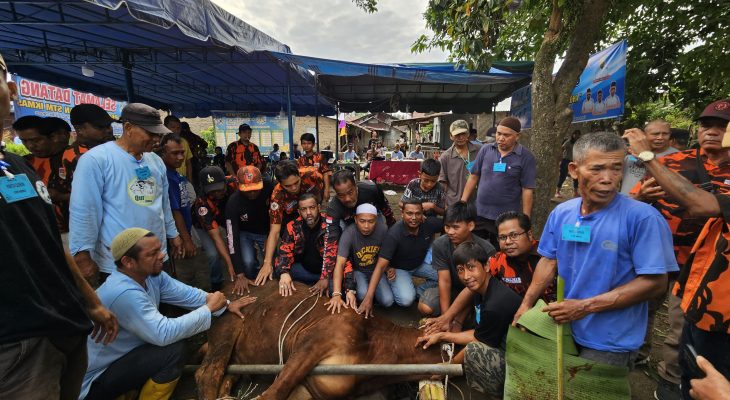 Rommy Van Boy Sumbang 1 Ekor Sapi Kurban di Sari Rejo