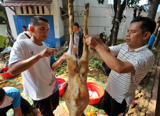 PGN Group Bagikan 955 Hewan Kurban untuk Masyarakat Saat Idul Adha 1446 H