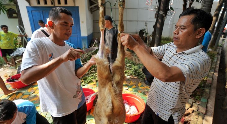 PGN Group Bagikan 955 Hewan Kurban untuk Masyarakat Saat Idul Adha 1446 H