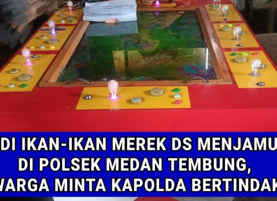 Warga Resah: Mesin Judi Ikan Merek DS Menjamur di Wilayah Hukum Polsek Medan Tembung
