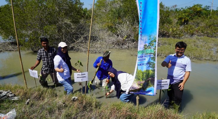 Peringati Hari Mangrove Sedunia, Pelindo Regional 1 Tanam Ribuan Mangrove di Batu Bara