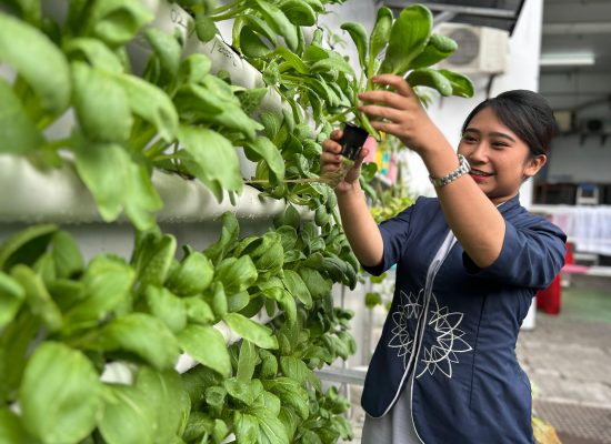 Hotel Aston Sidoarjo Luncurkan Program Sawi Hidroponik, Dorong Green Living di Industri Perhotelan
