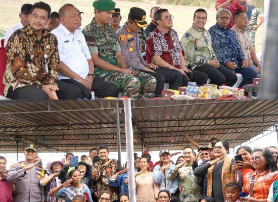 Bank Sumut Dukung Gerakan Tanam Jagung di Taput, Wujud Nyata Menuju Swasembada Pangan Sumatera Utara