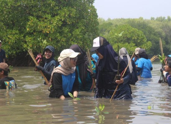 Debut di THE Impact Rankings 2025, Universitas Pertamina Tegaskan Komitmen pada Pembangunan Berkelanjutan