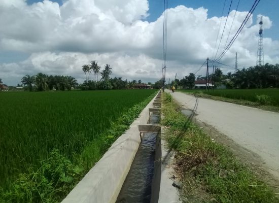 Bantahan BBWS Sumatera II Terkait Keluhan Irigasi Sekunder di Serdang Bedagai