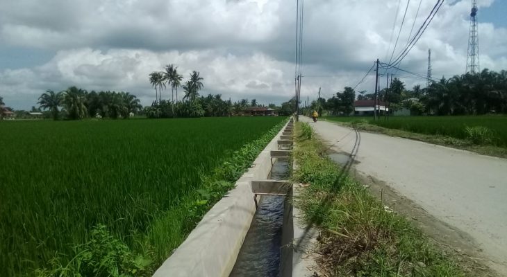 Bantahan BBWS Sumatera II Terkait Keluhan Irigasi Sekunder di Serdang Bedagai