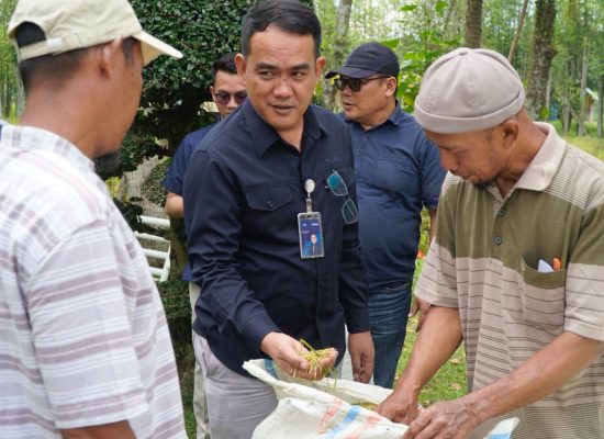 BULOG Sumut Serap 3 Ton Gabah Kering Panen Petani Langkat