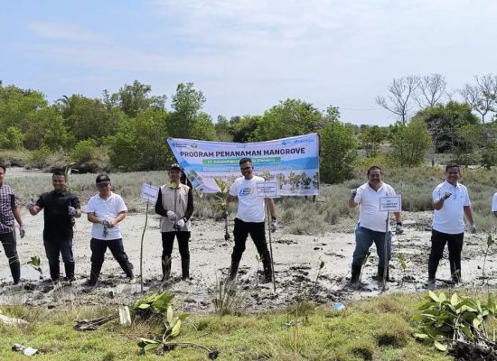 Pelindo Regional 1 Dukung Rehabilitasi Mangrove di Batu Bara Lewat Program TJSL
