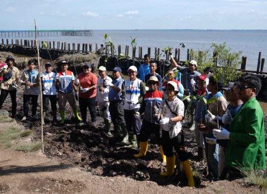 UPER, KPI RU II Dumai, dan Pemko Dumai Galang Gerakan Penanaman Mangrove Hadapi Ancaman Abrasi di Riau