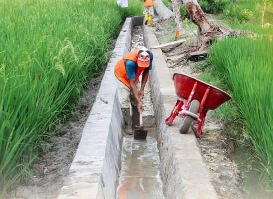 P3-TGAI Perkuat Ketahanan Pangan dan Serap Ribuan Tenaga Kerja di Asahan