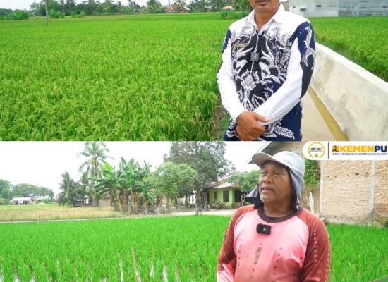 Petani Tanjung Rejo Syukuri Rehabilitasi Irigasi Bandar Sidoras, Hasil Panen Meningkat