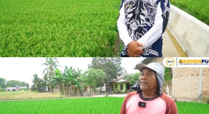 Petani Tanjung Rejo Syukuri Rehabilitasi Irigasi Bandar Sidoras, Hasil Panen Meningkat
