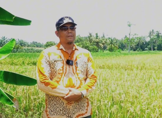 Kementerian PU Rehabilitasi Jaringan Irigasi Air Tanah di Hamparan Perak, Dukung Ketahanan Pangan dan Kesejahteraan Petani