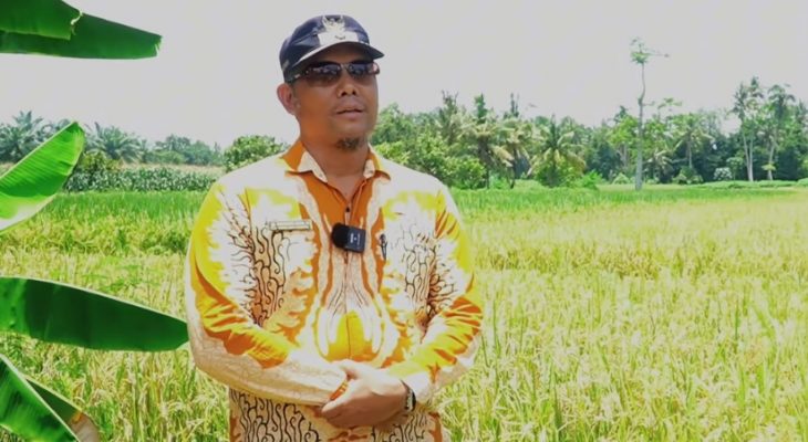 Kementerian PU Rehabilitasi Jaringan Irigasi Air Tanah di Hamparan Perak, Dukung Ketahanan Pangan dan Kesejahteraan Petani