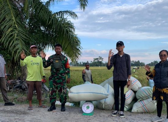 Bulog KC Asahan Pastikan Serap Gabah Petani di Batubara, Asahan, dan Tanjung Balai Rp6.500/kg