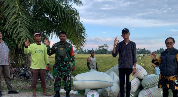 Bulog KC Asahan Pastikan Serap Gabah Petani di Batubara, Asahan, dan Tanjung Balai Rp6.500/kg