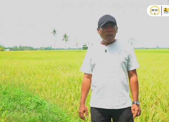 Jaringan Irigasi Air Tanah Dukung Pertanian di Desa Pematang Cermai