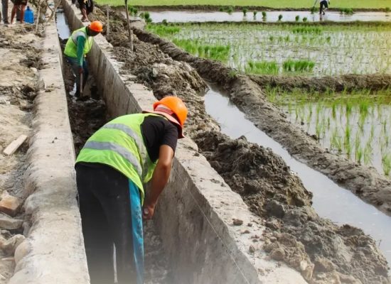 BBWS Sumatera II Genjot P3-TGAI, Petani Deli Serdang Rasakan Manfaat