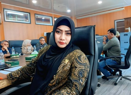 Lailatul Badri Kecewa, Sejumlah OPD Pemko Medan Tak Hadiri RDP Bahas Banjir dan Bangunan Tanpa PBG