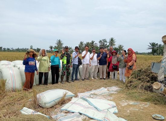 BULOG Sumut Siap Serap Gabah Petani dengan Harga Rp6.500/Kg
