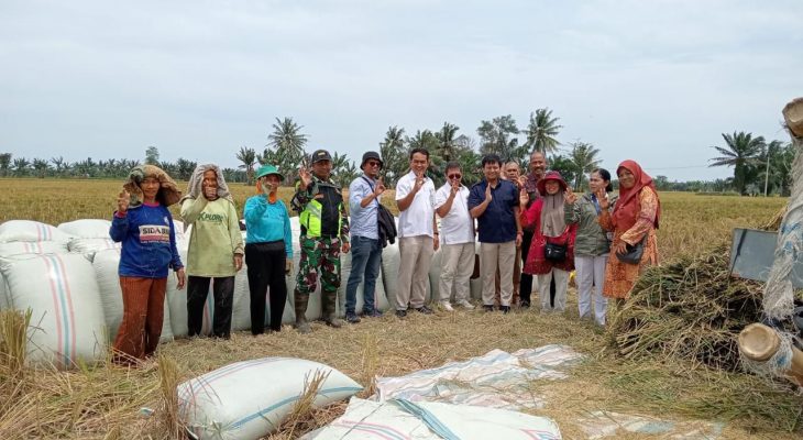 BULOG Sumut Siap Serap Gabah Petani dengan Harga Rp6.500/Kg