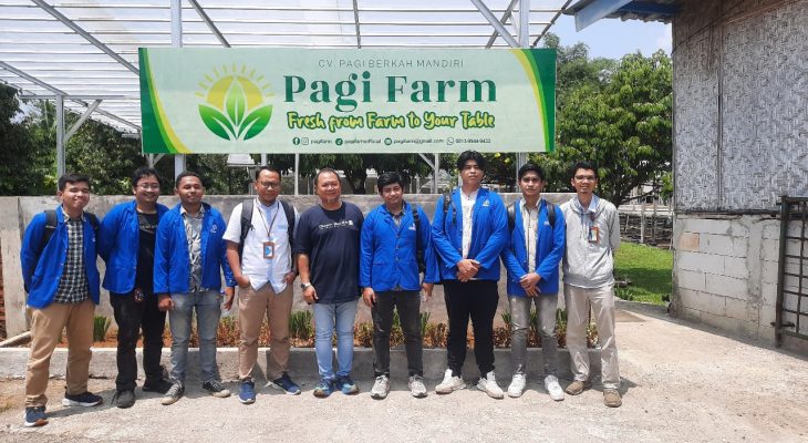 Universitas Pertamina Kembangkan Urban Farming Berbasis Energi Surya di Bogor