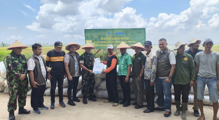 Bulog Asahan Serap 20 Ton Gabah Petani Batu Bara, Jaga Harga dan Ketahanan Pangan