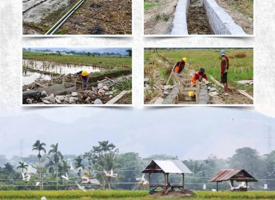 Petani Sumut Sampaikan Harapan pada Program P3-TGAI Tahap II: Menuju Pertanian yang Lebih Sejahtera