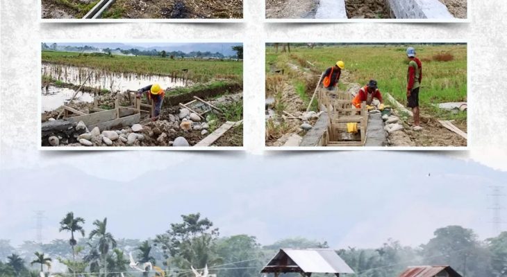 Petani Sumut Sampaikan Harapan pada Program P3-TGAI Tahap II: Menuju Pertanian yang Lebih Sejahtera