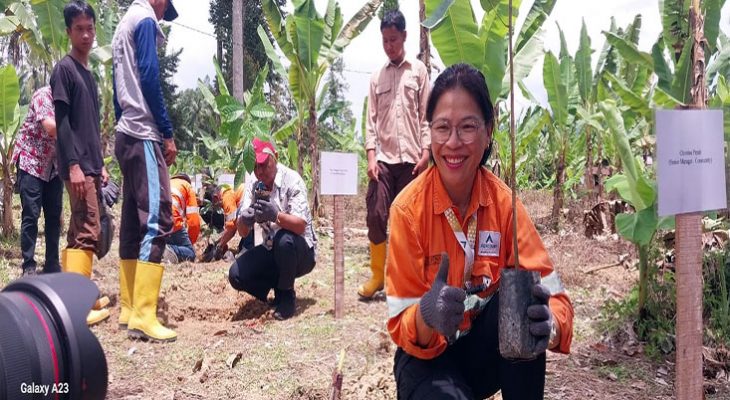 Program “Martabe Cocoa” Hidupkan Kembali Komoditas Kakao Unggulan Tapsel