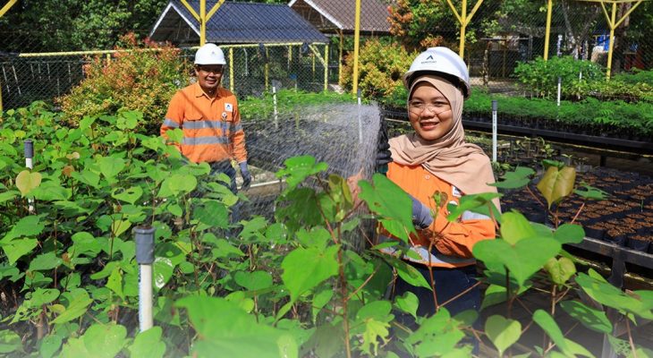 Tambang Emas Martabe Perkuat Komitmen Penghijauan Lewat Pembibitan Ribuan Tanaman Setiap Bulan