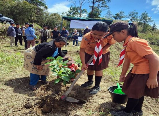 INALUM Tanam 500 Hektar Pohon di DTA Danau Toba, Tegaskan Komitmen Lingkungan dan Kepedulian Sosial