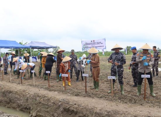 Polres Tanjungbalai Dukung Ketahanan Pangan Nasional, Tanam Bibit Jagung Bersama Lanal TBA dan Forkopimda