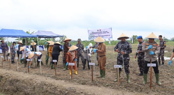 Polres Tanjungbalai Dukung Ketahanan Pangan Nasional, Tanam Bibit Jagung Bersama Lanal TBA dan Forkopimda