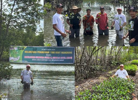 Bobylovers Sumut dan Adimulia Hotel Tanam 1.000 Mangrove di Lubuk Kertang, Target Sejuta Bibit hingga 2026