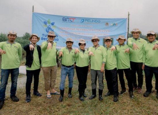 BNCT Ubah 22 Hektare Eks Lahan Sawit Menjadi Kawasan Mangrove Produktif di Deli Serdang