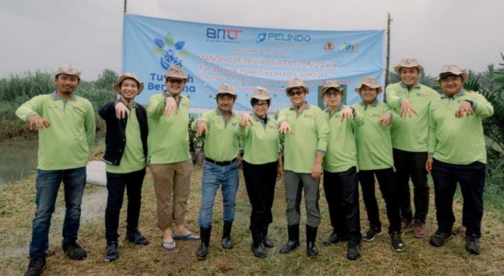 BNCT Ubah 22 Hektare Eks Lahan Sawit Menjadi Kawasan Mangrove Produktif di Deli Serdang