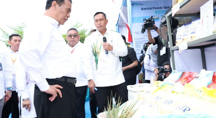 BULOG Pecahkan Rekor Serapan Gabah Tertinggi Sepanjang Sejarah, Jadi Pilar Swasembada Pangan 2025