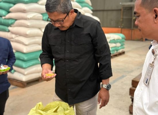 Bulog Siap Serap Gabah dan Jagung Hasil Panen Petani, Sumut Jadi Salah Satu Prioritas
