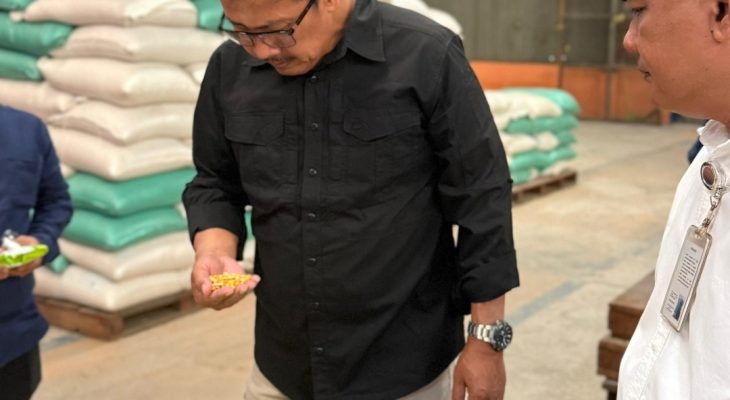 Bulog Siap Serap Gabah dan Jagung Hasil Panen Petani, Sumut Jadi Salah Satu Prioritas
