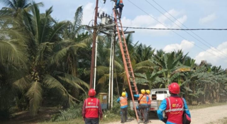 PLN UP3 Rantauprapat Gelar Grebek Penyulang, Perkuat Keandalan Listrik di Empat ULP