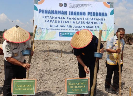 Tanam Jagung Perdana, Ditjenpas Sumut Siap Jadikan Air Joman Lahan Produktif