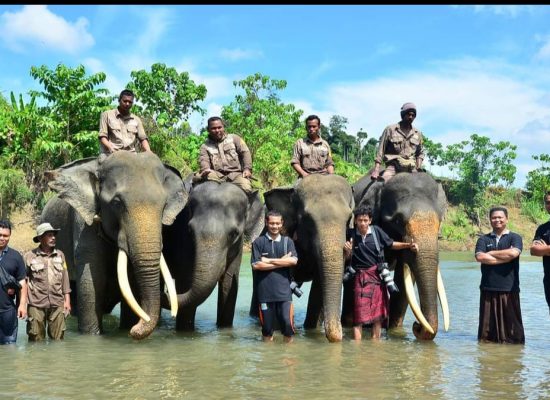 Kematian Gajah Ratna di Rahmat Zoo Masih Misteri, JGN Desak Investigasi Terbuka