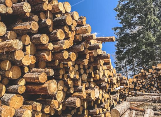 Diduga Hasil Pembalakan Liar, Kayu Gelondongan di Deli Serdang Diselidiki