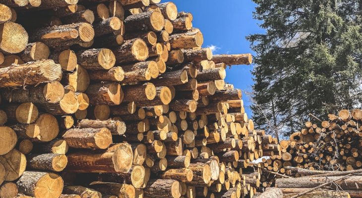 Diduga Hasil Pembalakan Liar, Kayu Gelondongan di Deli Serdang Diselidiki