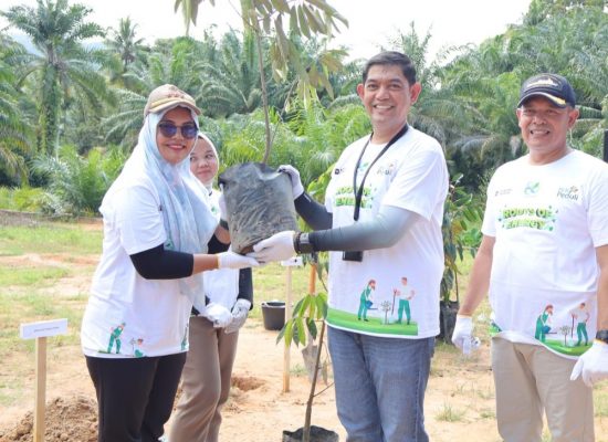 PLN Tanam Pohon di Tapanuli Tengah, Pulihkan Lingkungan dan Dorong Ekonomi Warga