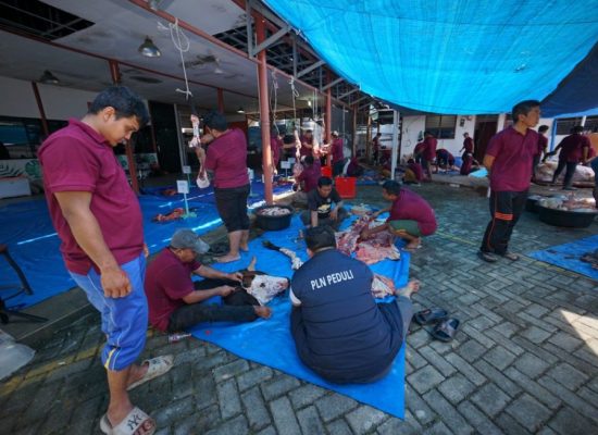 PLN UID Sumut Salurkan 38 Sapi dan 10 Kambing Kurban pada Iduladha 1447 H