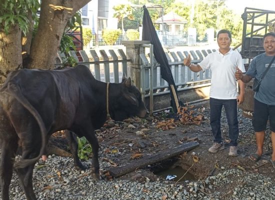 BNCT dan Bea Cukai Belawan Kolaborasi Salurkan Hewan Kurban untuk Masyarakat