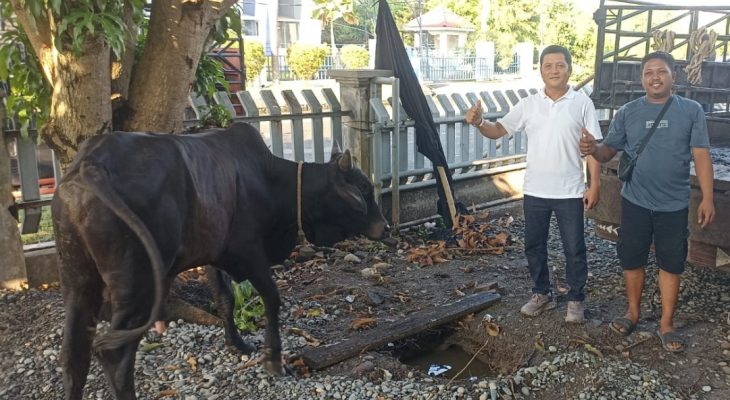 BNCT dan Bea Cukai Belawan Kolaborasi Salurkan Hewan Kurban untuk Masyarakat