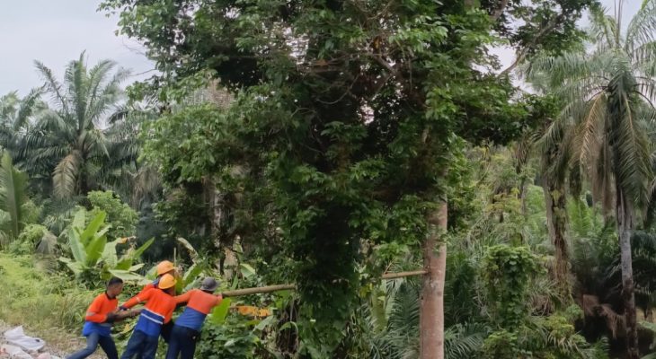 KAI Divre I Sumut Intensifkan Penopingan Pohon di Jalur Rel, Antisipasi Cuaca Ekstrem